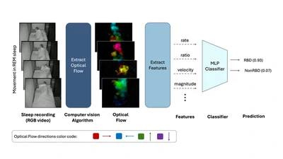 Automated detection of isolated REM sleep behavior disorder using computer vision featured image