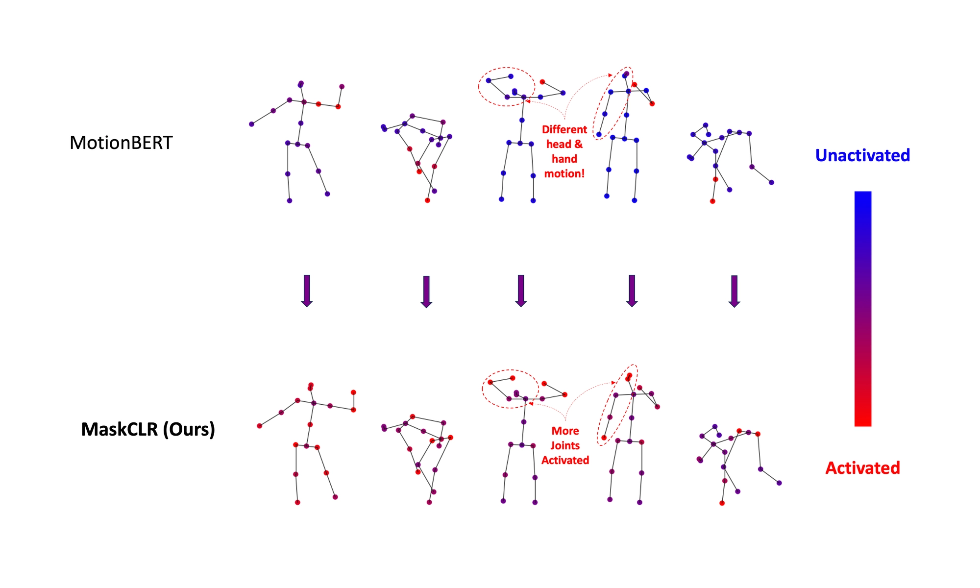 MaskCLR: Attention-Guided Contrastive Learning for Robust Action Representation Learning