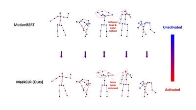 MaskCLR: Attention-Guided Contrastive Learning for Robust Action Representation Learning featured image