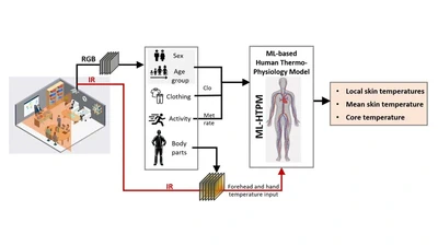 Toward contactless human thermal monitoring: A framework for Machine Learning-based human thermo-physiology modeling augmented with computer vision featured image