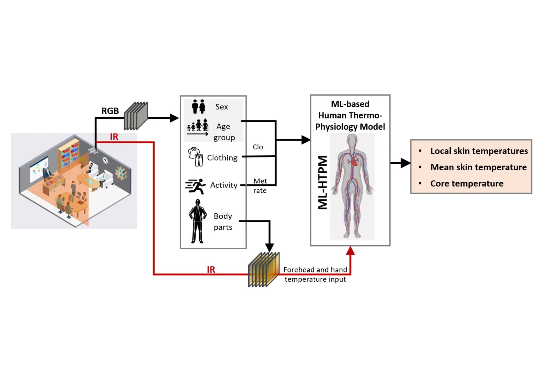 Toward contactless human thermal monitoring: A framework for Machine Learning-based human thermo-physiology modeling augmented with computer vision